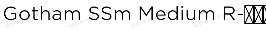 Gotham SSm Medium R字体转换